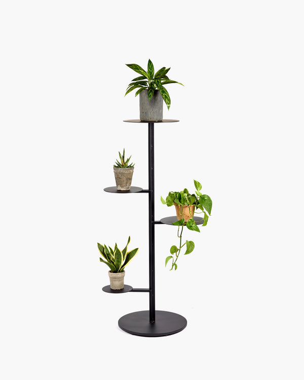 plant stands