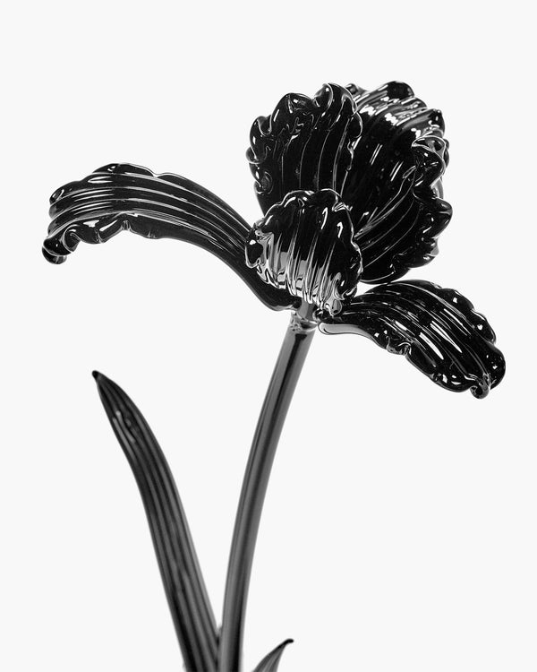 The Josephine collection Flowers sub