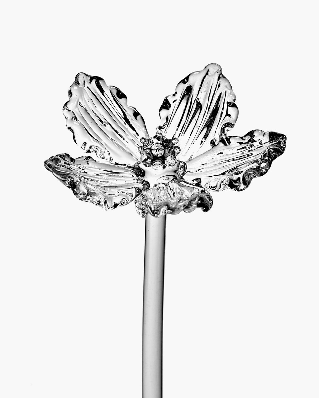 B4325002-050 Serax Kris Van Assche