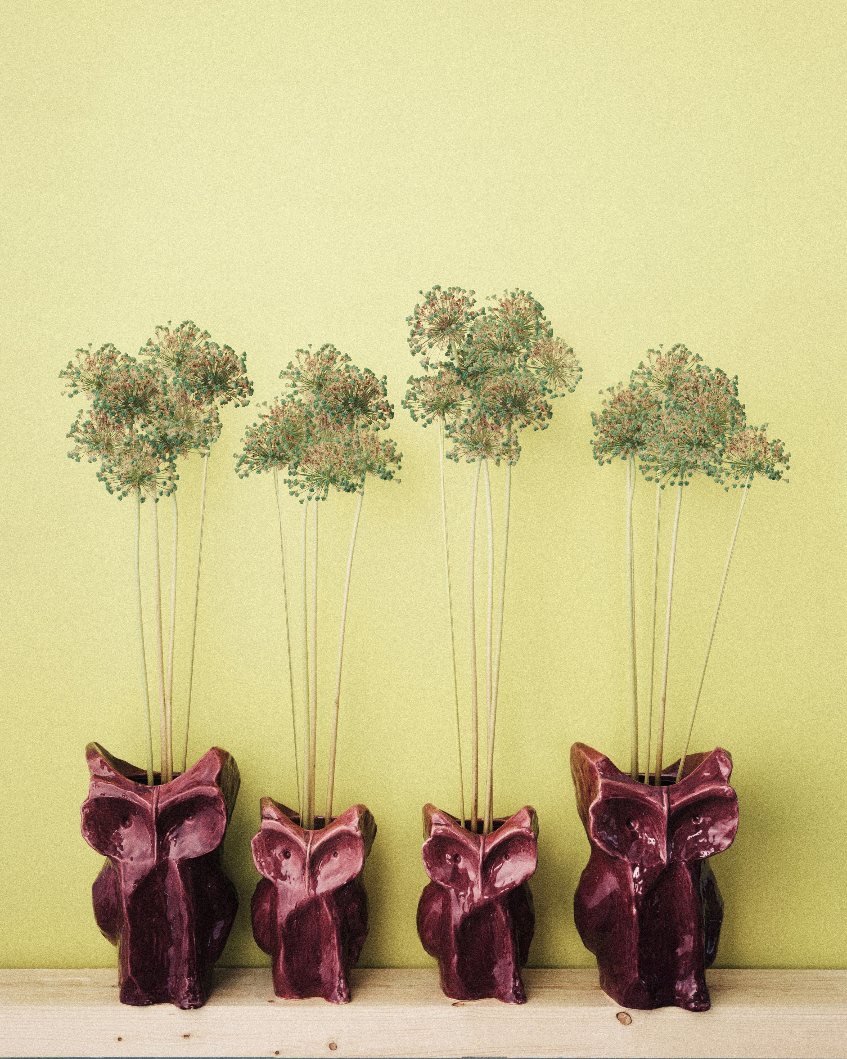 Discover all Serax vases – Serax US