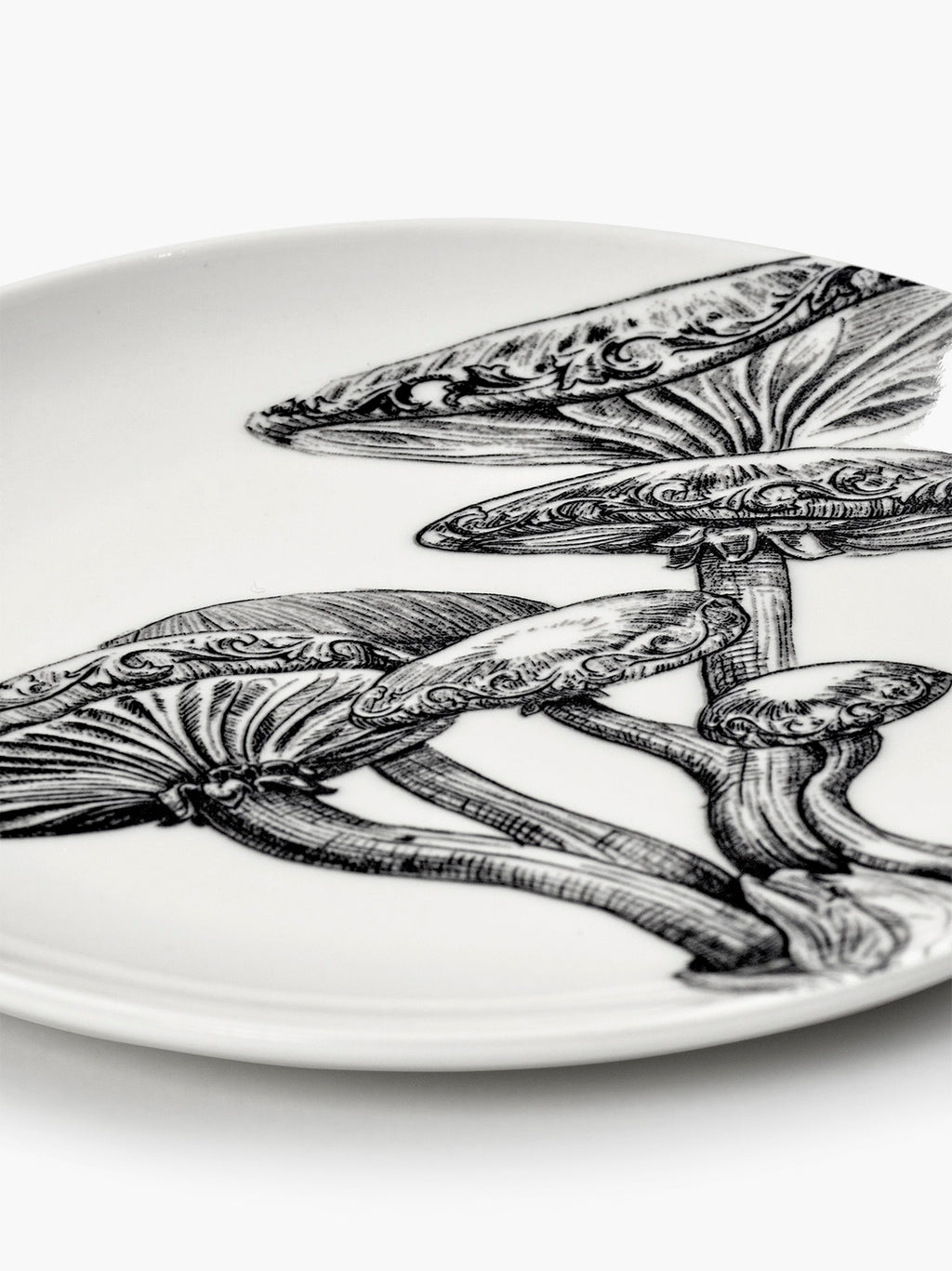 B9224203-008 Serax Tomorrowland